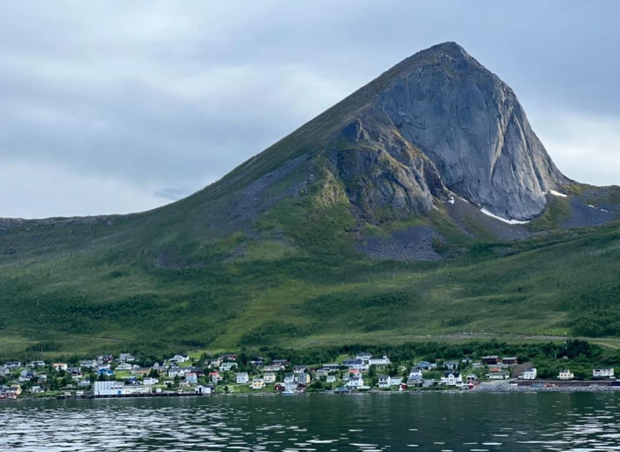Rigmorhuset Villa Fjordgard Eksteriør billede